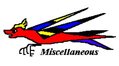 Liz Events Page