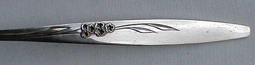 Enchantment aka Gentle Rose 1960 Silverplated Flatware